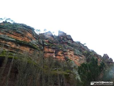 Daroca Salvaje_Gallocanta-Pinsapar de Orcajo; fuentona de muriel valverde de los arroyos guadalajara